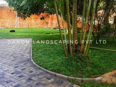 Daron Landscaping and Garden Service