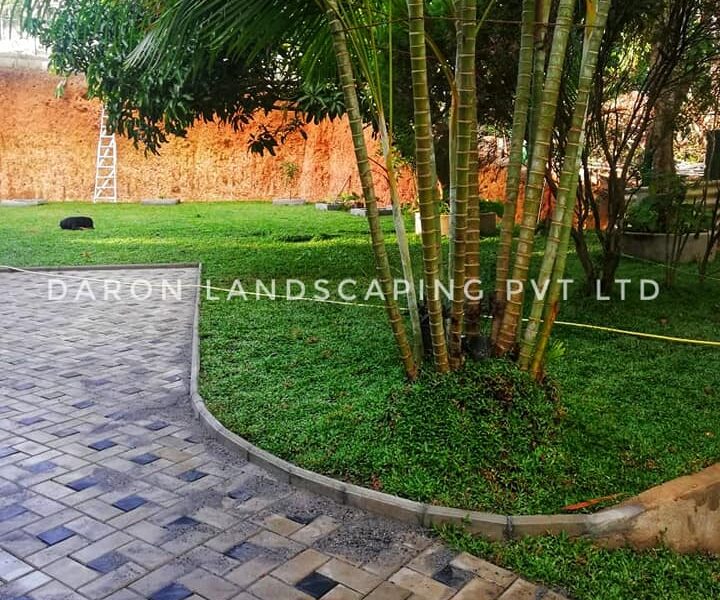 Daron Landscaping and Garden Service