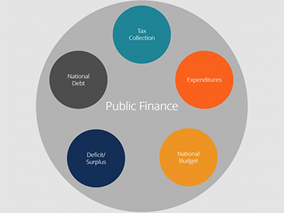 Department of Public Finance