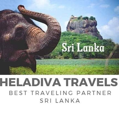 Heladiva Travel