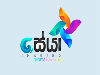 Seya Imaging Digital Colour Lab