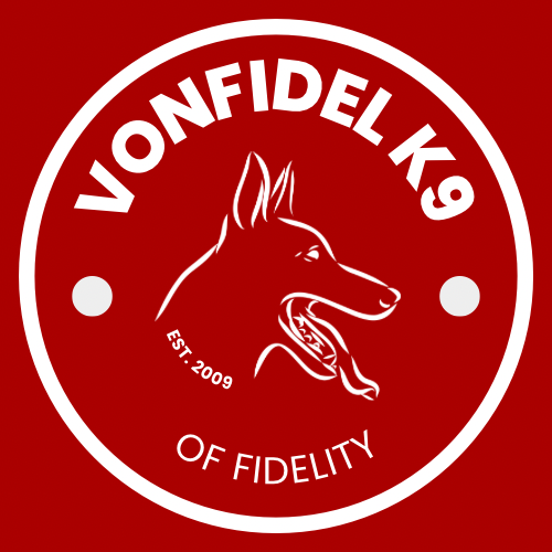 VONFIDEL K9 – Professional Dog Training in Sri Lanka