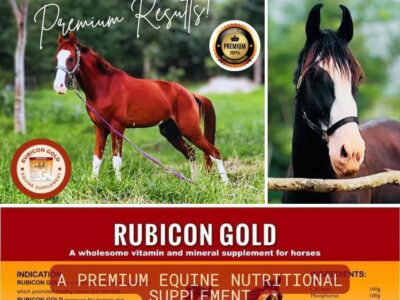 RUBICON GOLD | Premium Equine Mineral & Vitamin Supplement