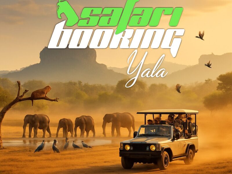 Safari Booking Srilanka