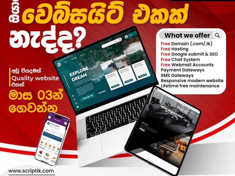 Professional Website Development Services – ScriptLK