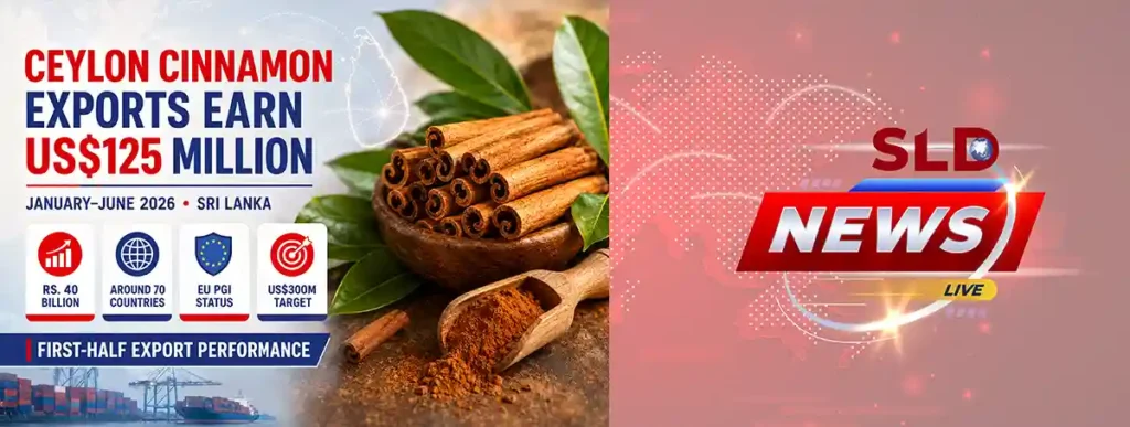 eylon cinnamon quills illustrating Sri Lanka’s cinnamon export earnings of about Rs. 40 billion in the first half of 2026