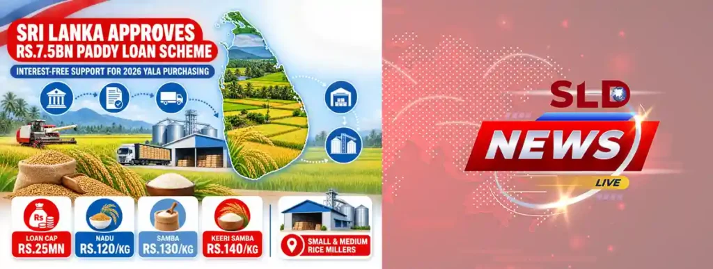 Conceptual Sri Lanka paddy field graphic explaining the Rs.7.5 billion interest-free Yala 2026 loan scheme for rice millers