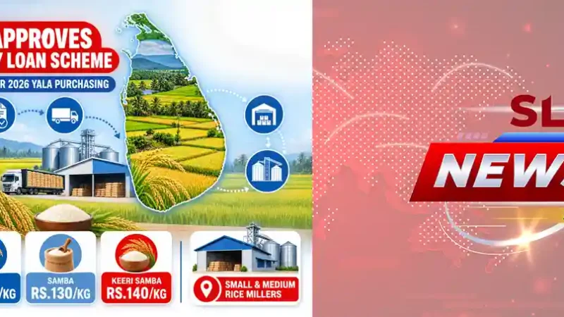 Conceptual Sri Lanka paddy field graphic explaining the Rs.7.5 billion interest-free Yala 2026 loan scheme for rice millers